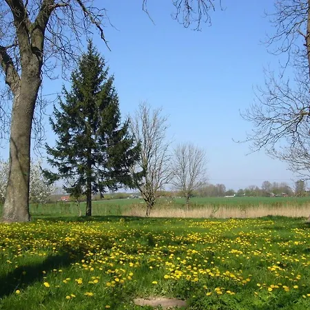 Hébergement de vacances Haus Comfortable Dreschvitz